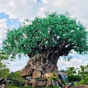 Meet your Posher, Jeremy